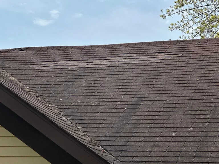 roof storm damage Forreston