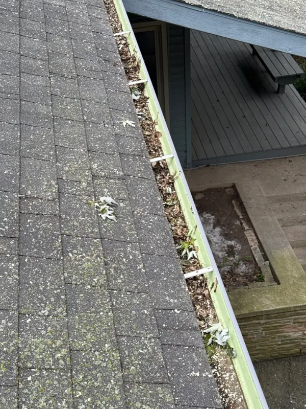 roofing contractor oregon il