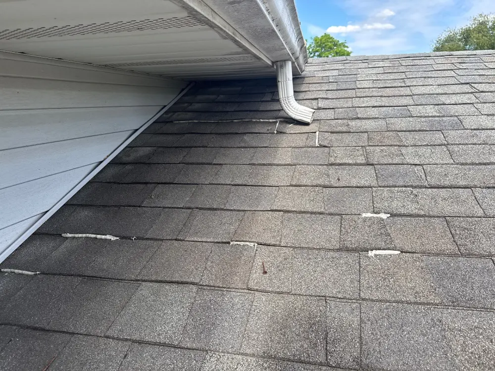 storm damage roof repair Stockton il