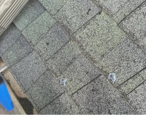 storm damage roof repair Winnebago il